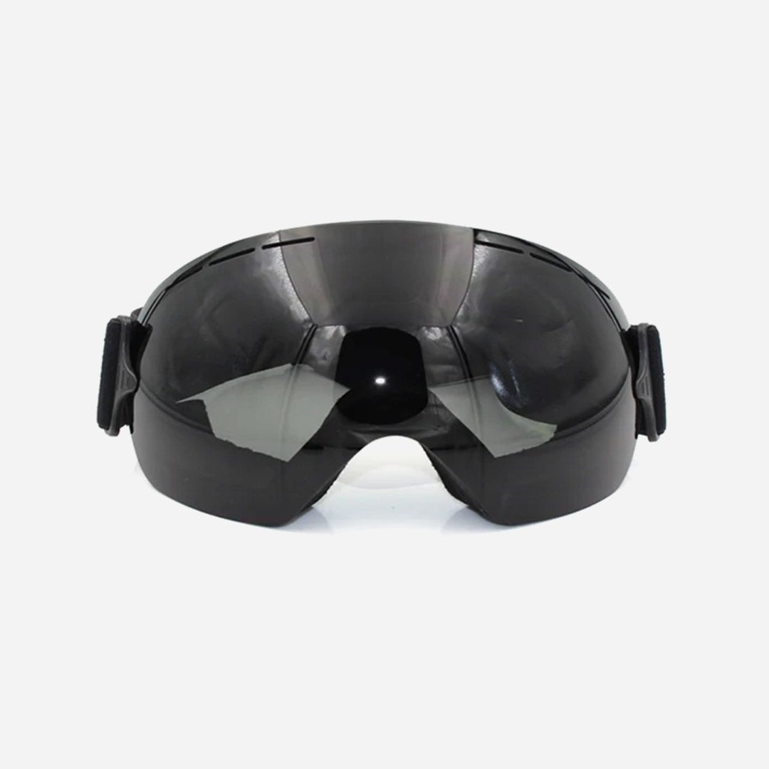 Aosta - The Survivors Club