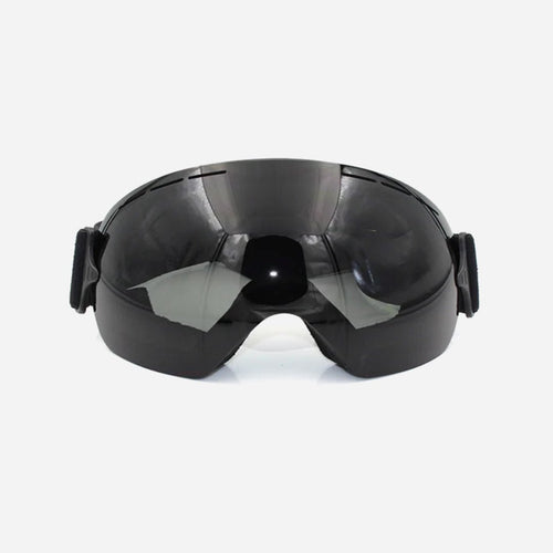 Aosta - The Survivors Club